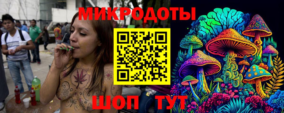 Галлюциногенные грибы Psilocybine cubensis Сланцы