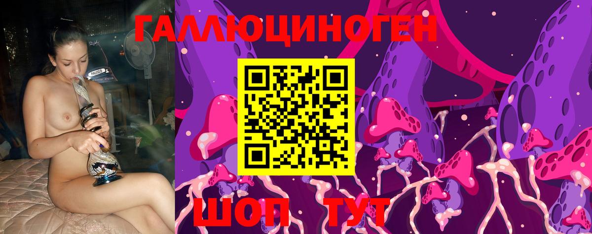 Галлюциногенные грибы GOLDEN TEACHER  Галлюциногенные грибы MAGIC MUSHROOMS  Сланцы  Вход с VPN 